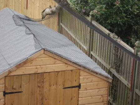 Shed after cat fencing